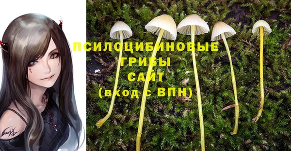 кристаллы Аркадак