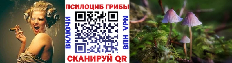 купить наркотик  Петухово  Псилоцибиновые грибы прущие грибы 
